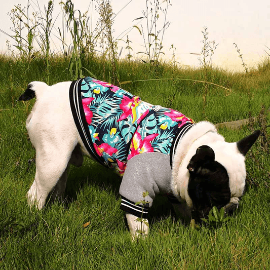 Stretchy Printed Pet Dog Onesie