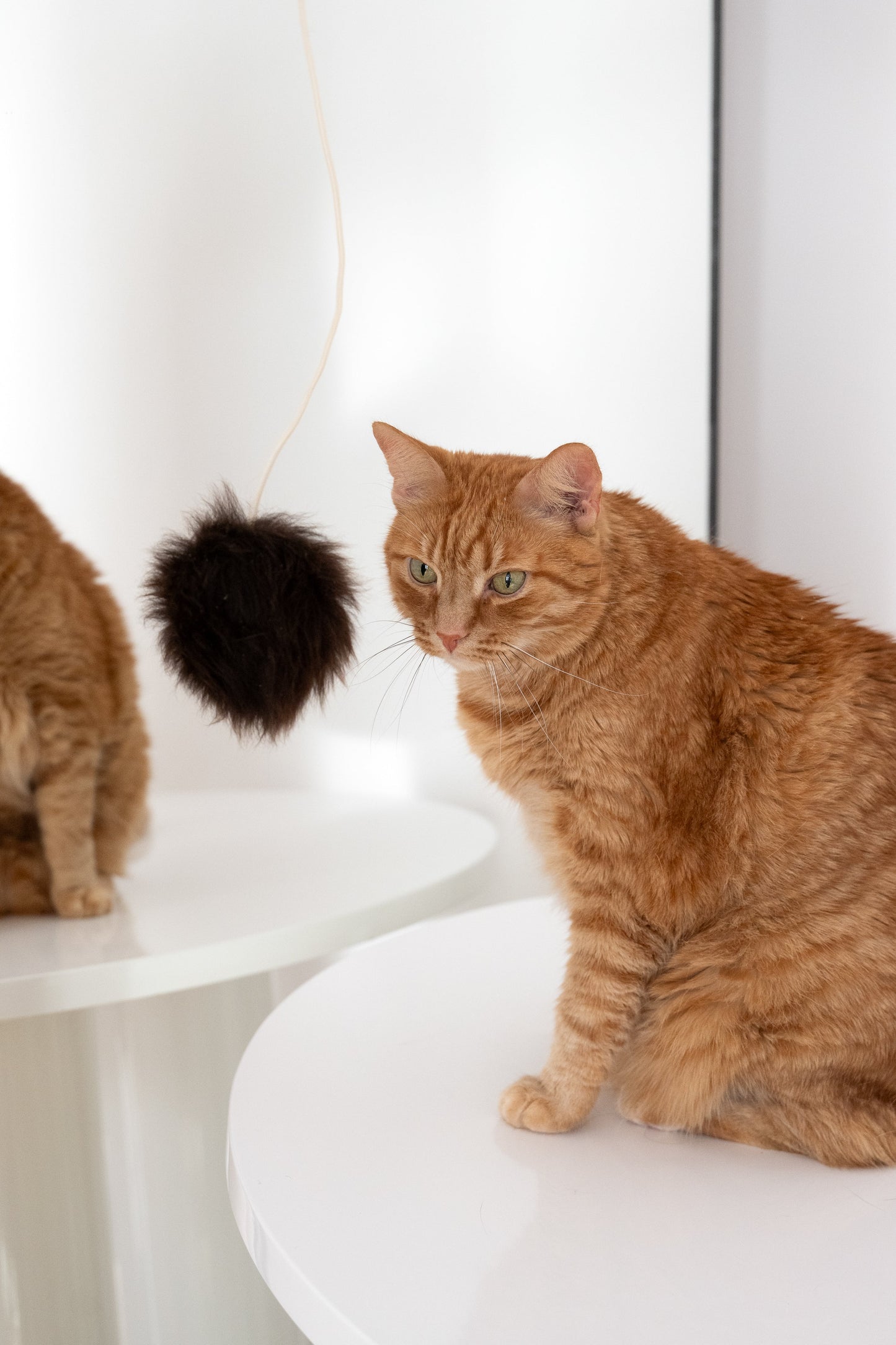 Natural Sheepskin Cat Toy: Ball-1