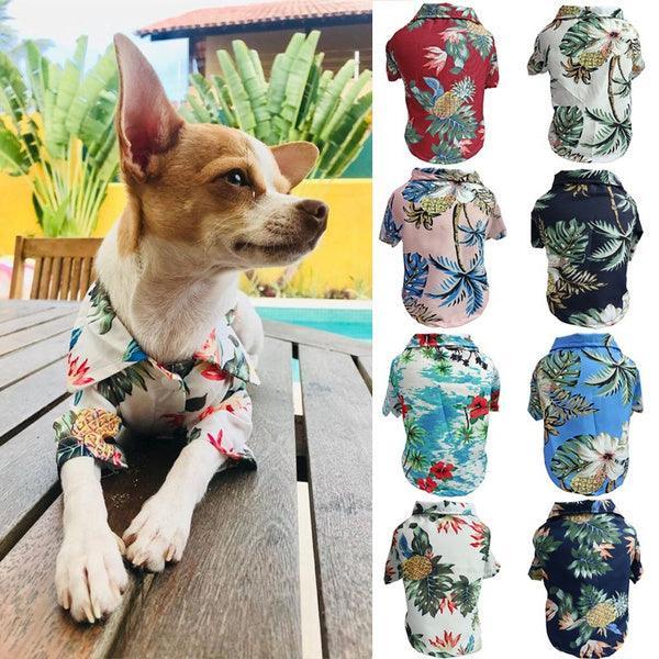 Breathable Corgi Blue Cat Shirt For Dogs - Perfect For Spring And Summer Fun!